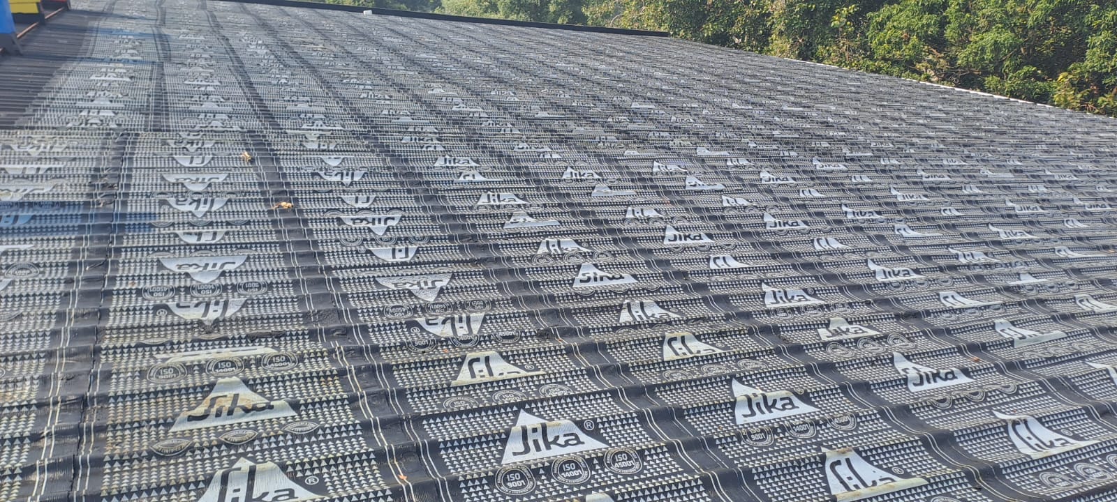 WhatsApp Image 2026-02-09 at 8.28.24 PM (5)