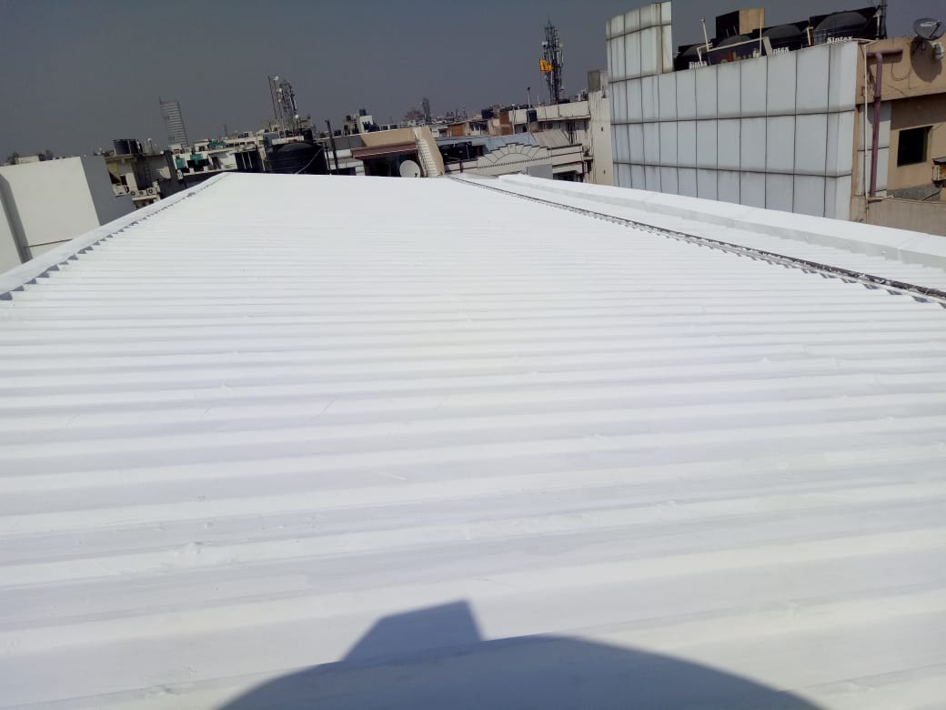 WhatsApp Image 2026-02-09 at 8.28.26 PM (3)